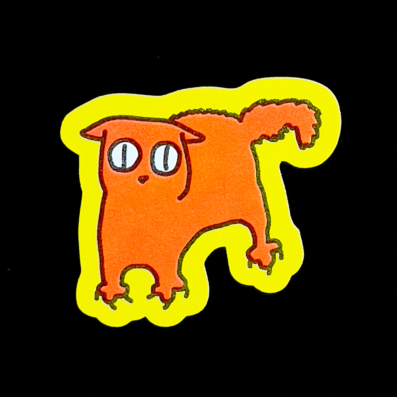 Frightened Cat