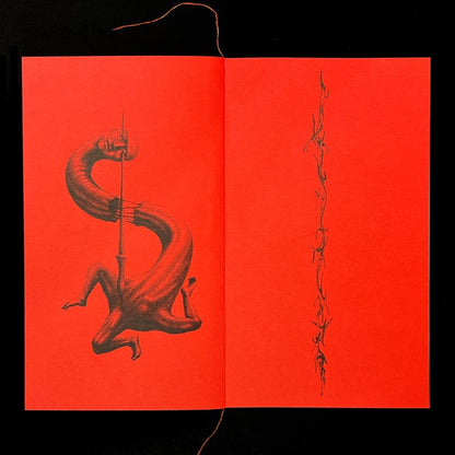 The Diary by Poom Winyoo